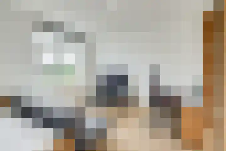 Kerckeboslaan 7 De Meern thumbnail 26