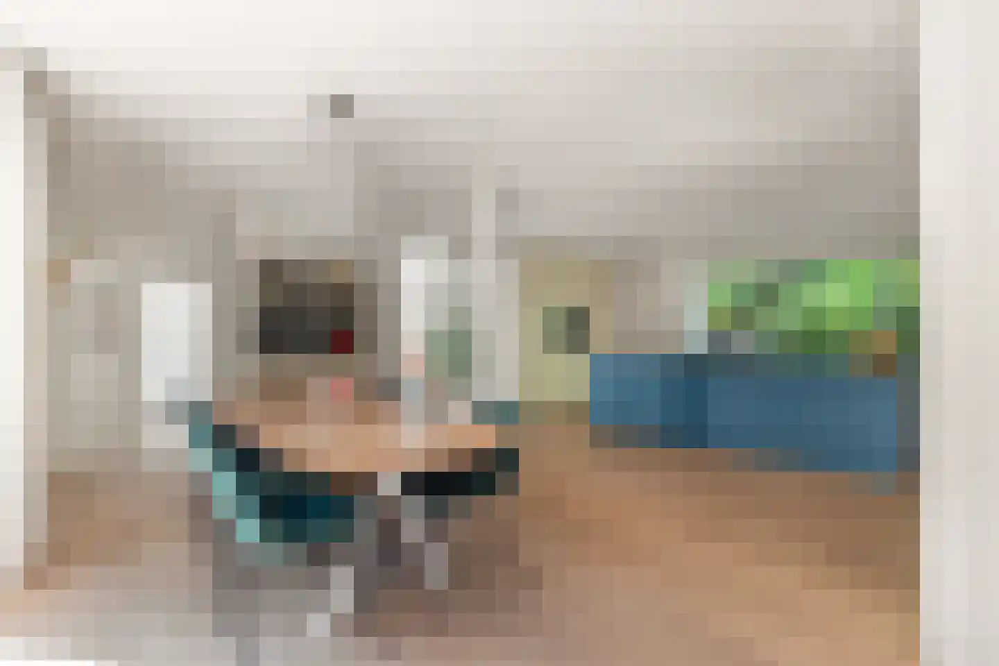 Kerckeven 3 Castricum thumbnail 15