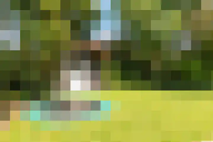 Kerckeven 3 Castricum thumbnail 54