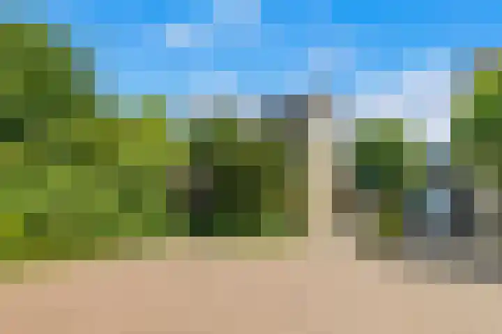 Kerckeven 3 Castricum thumbnail 58