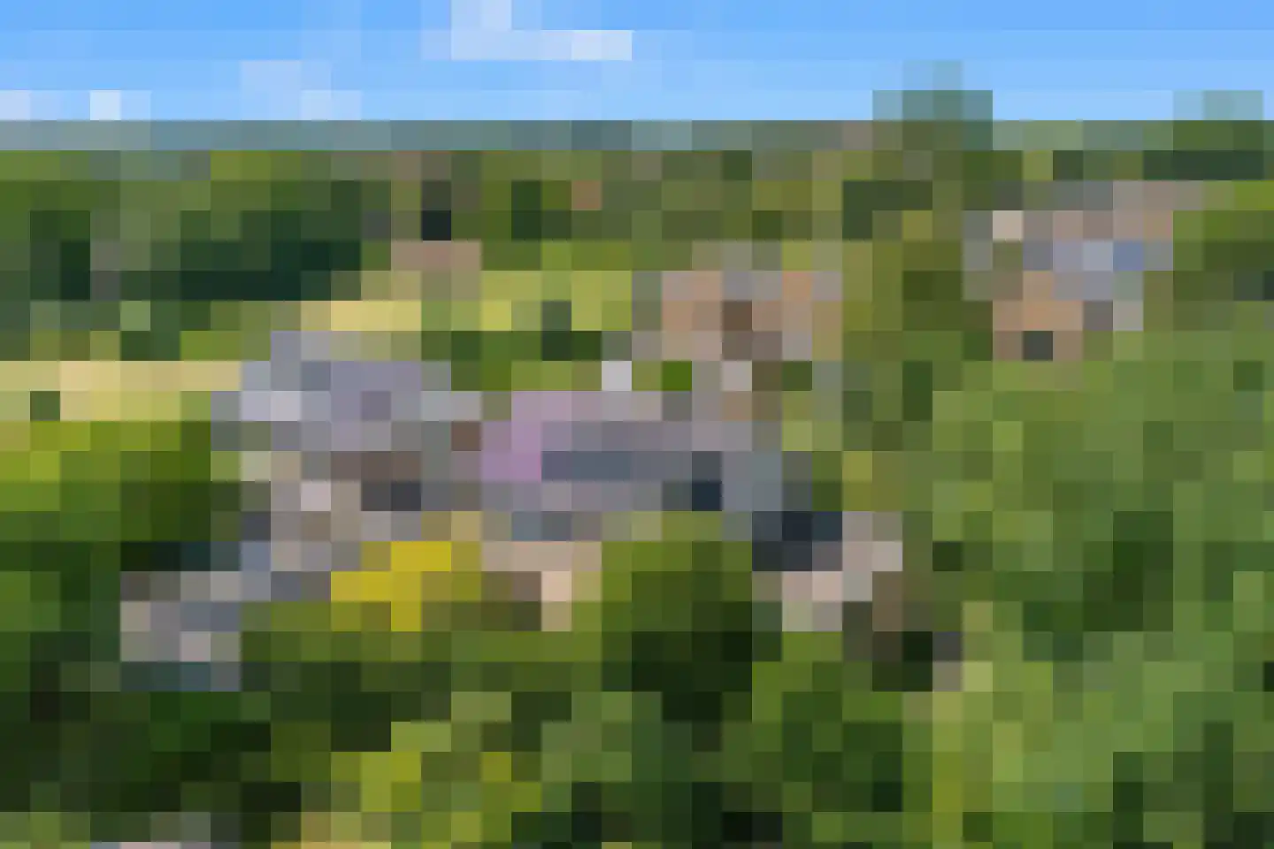 Kerckeven 3 Castricum thumbnail 59