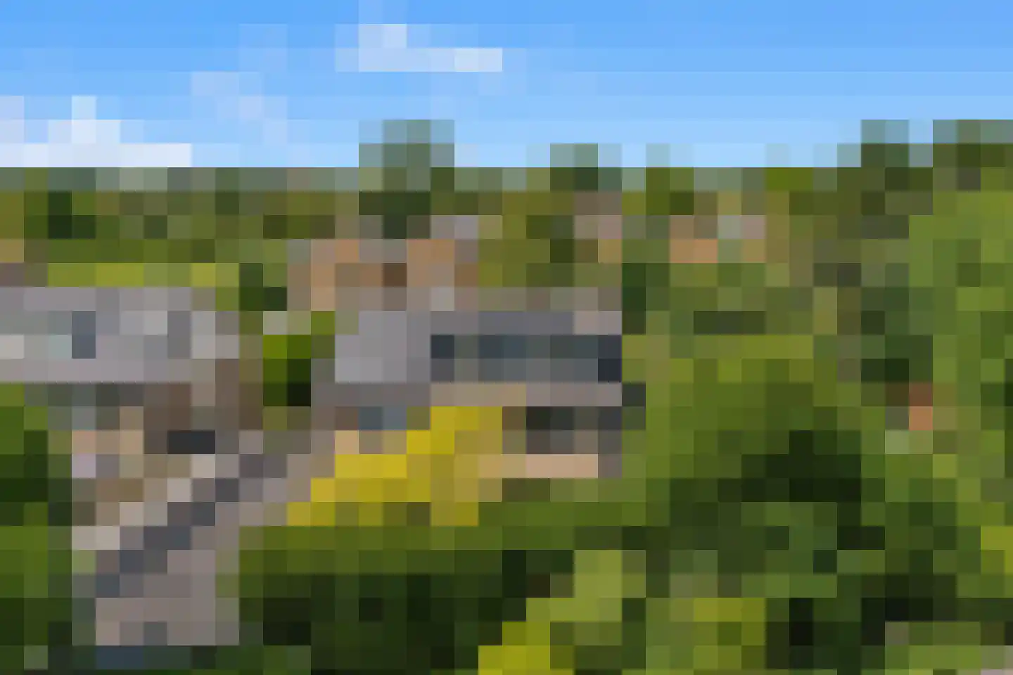 Kerckeven 3 Castricum thumbnail 60