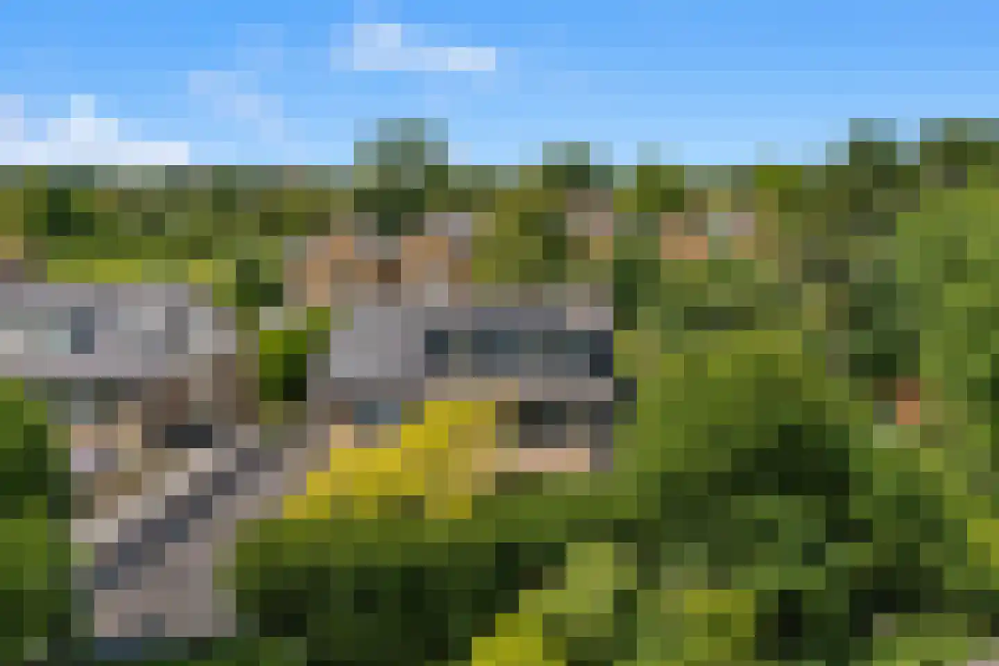Kerckeven 3 Castricum thumbnail 60