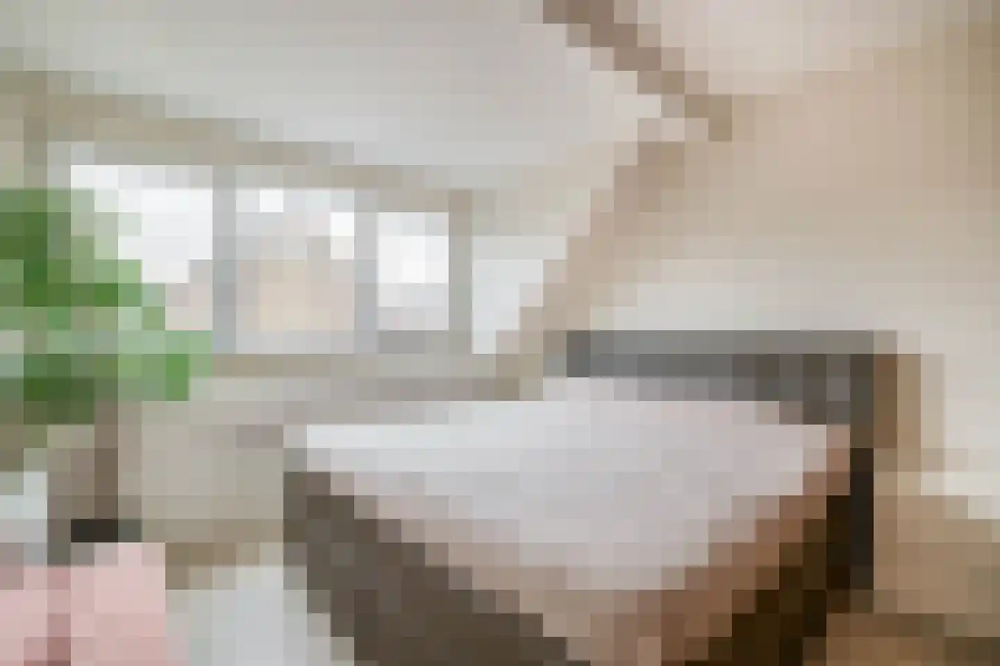 Kerckhoek 47 Zuidland thumbnail 32
