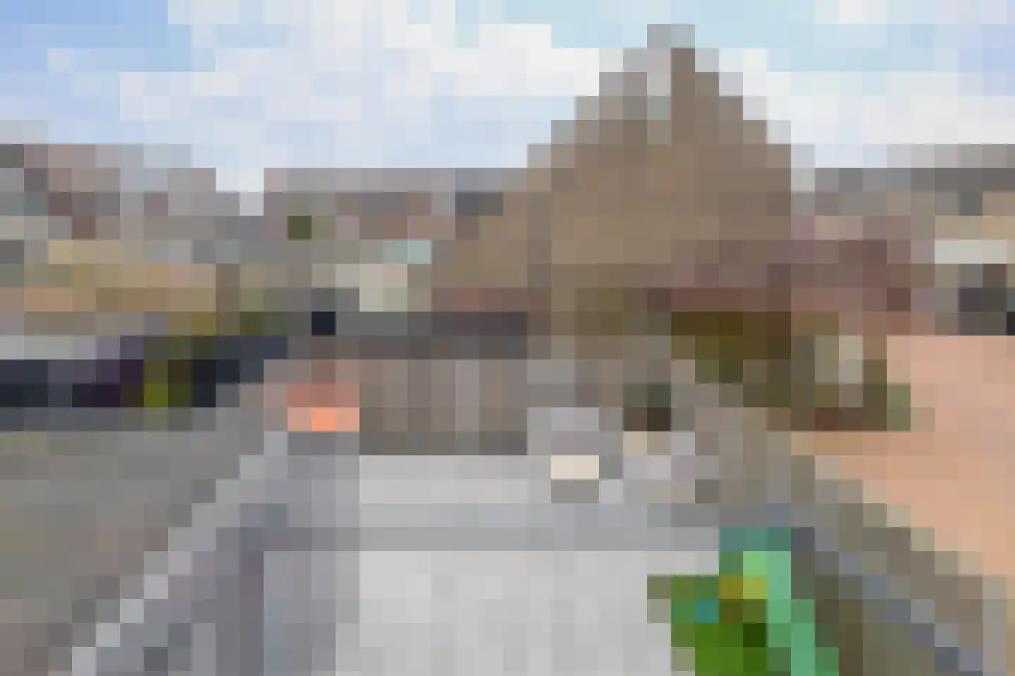 Kerckhoek 47 Zuidland thumbnail 39