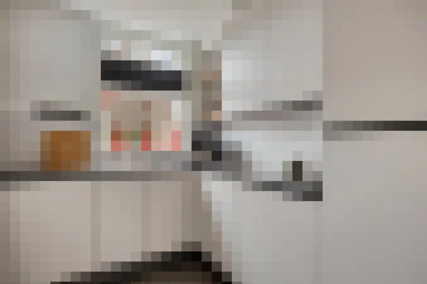 Kerckhoek 8 Zuidland thumbnail 10