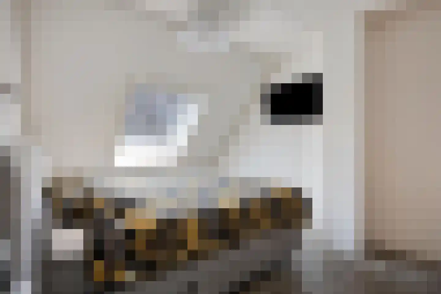 Kerckhoek 8 Zuidland thumbnail 16