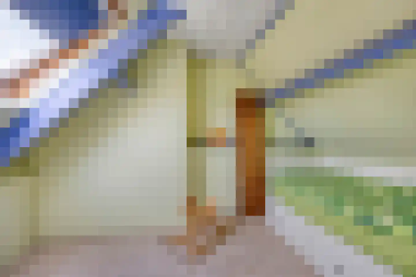 Kerckhoek 8 Zuidland thumbnail 22