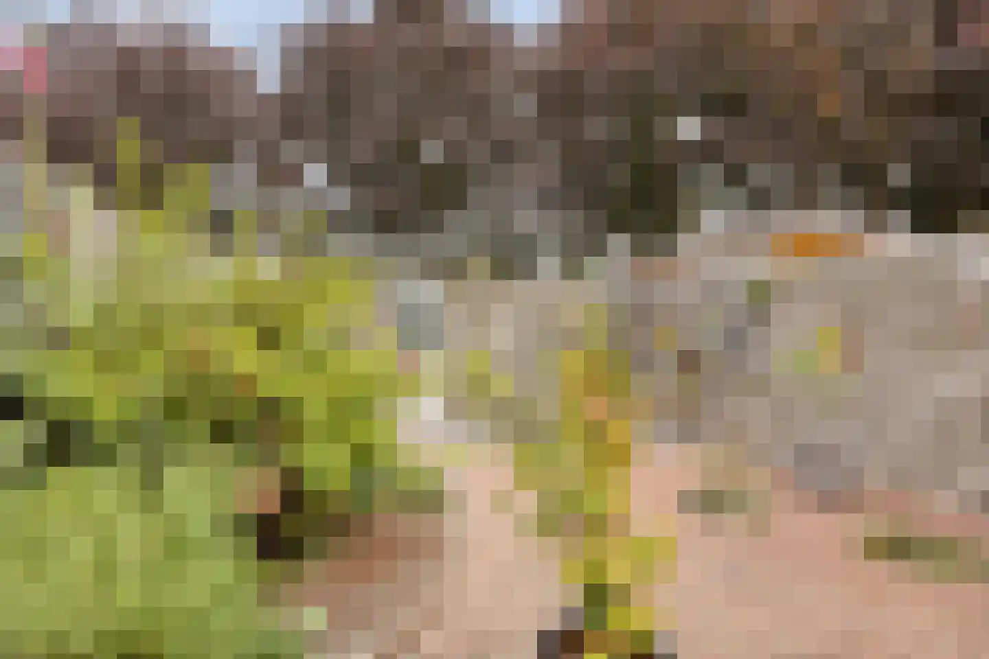 Kerckhoek 8 Zuidland thumbnail 27