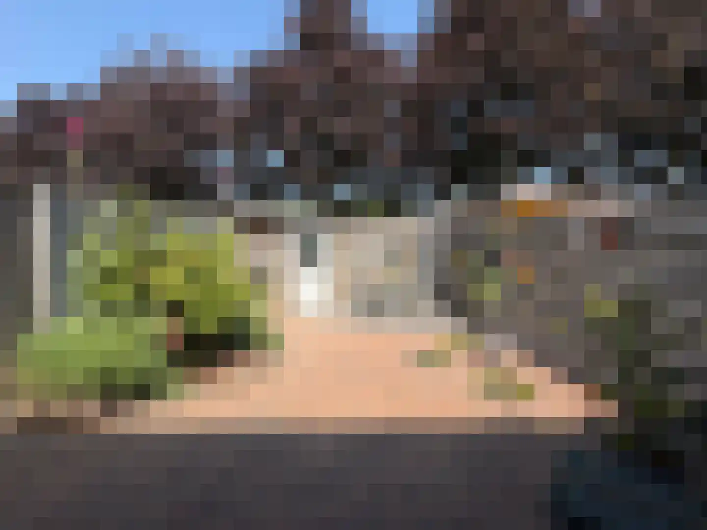 Kerckhoek 8 Zuidland thumbnail 28