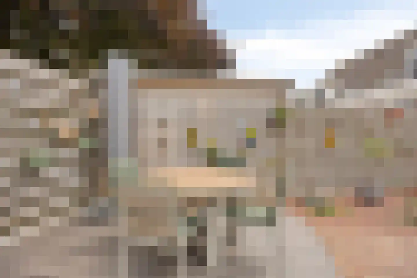 Kerckhoek 8 Zuidland thumbnail 29