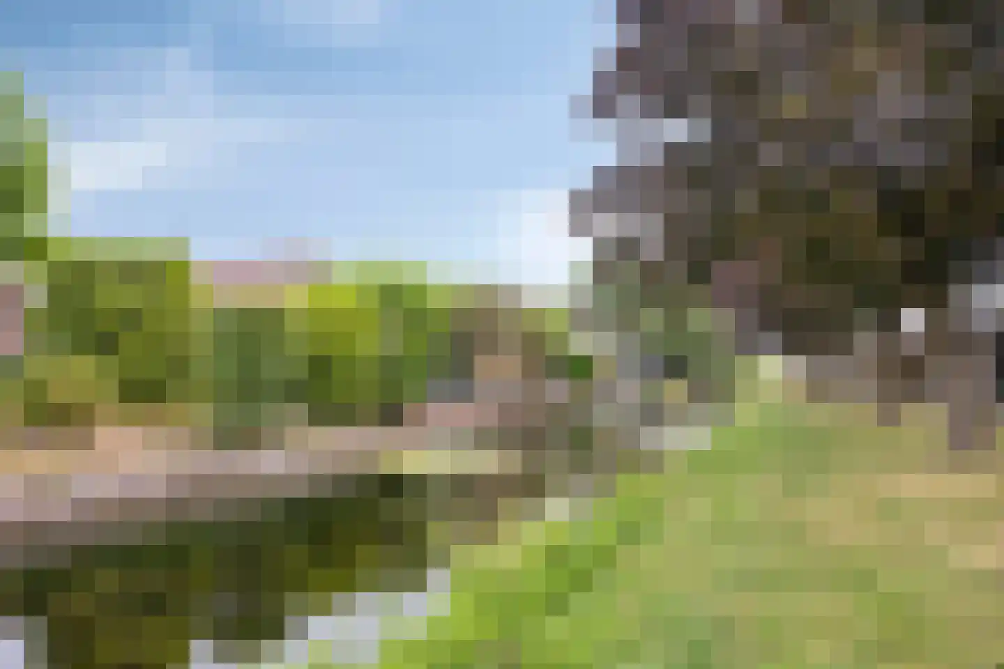 Kerckhoek 8 Zuidland thumbnail 30