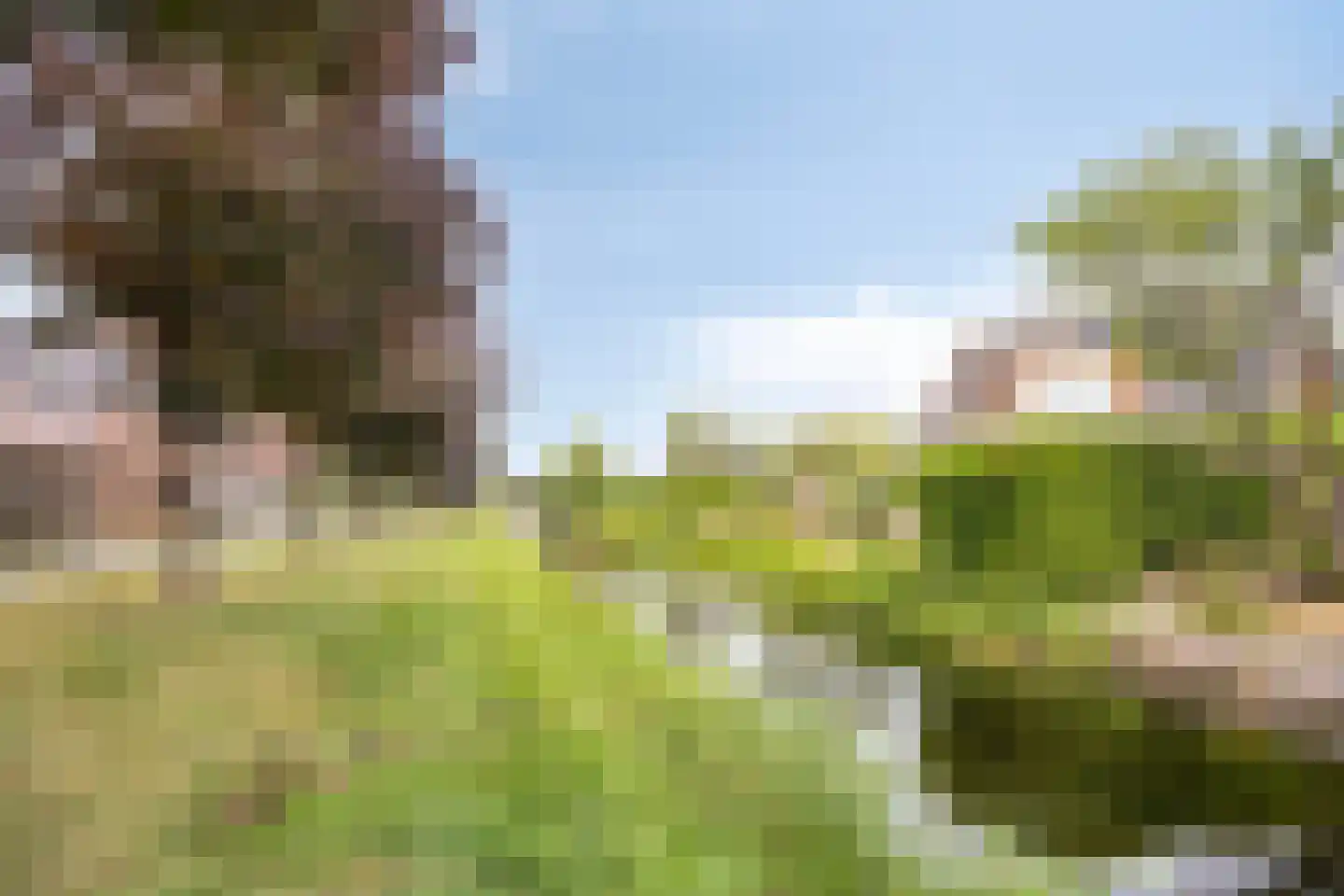 Kerckhoek 8 Zuidland thumbnail 31