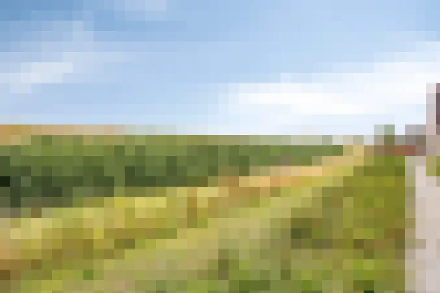 Kerckhoek 8 Zuidland thumbnail 32