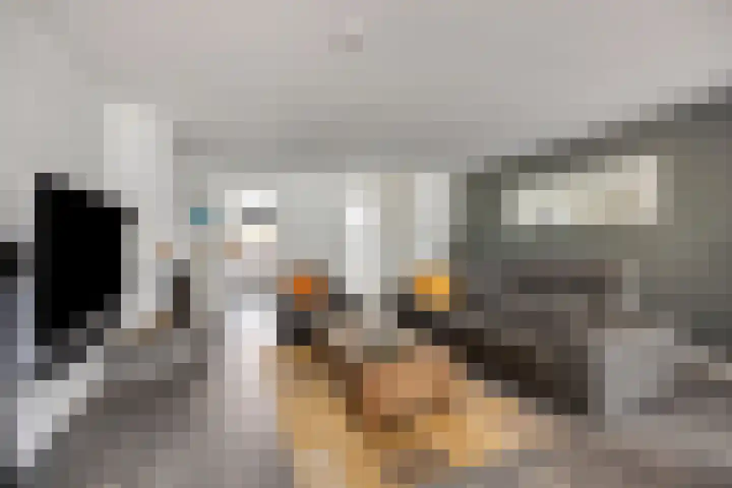 Kerckhoek 8 Zuidland thumbnail 5