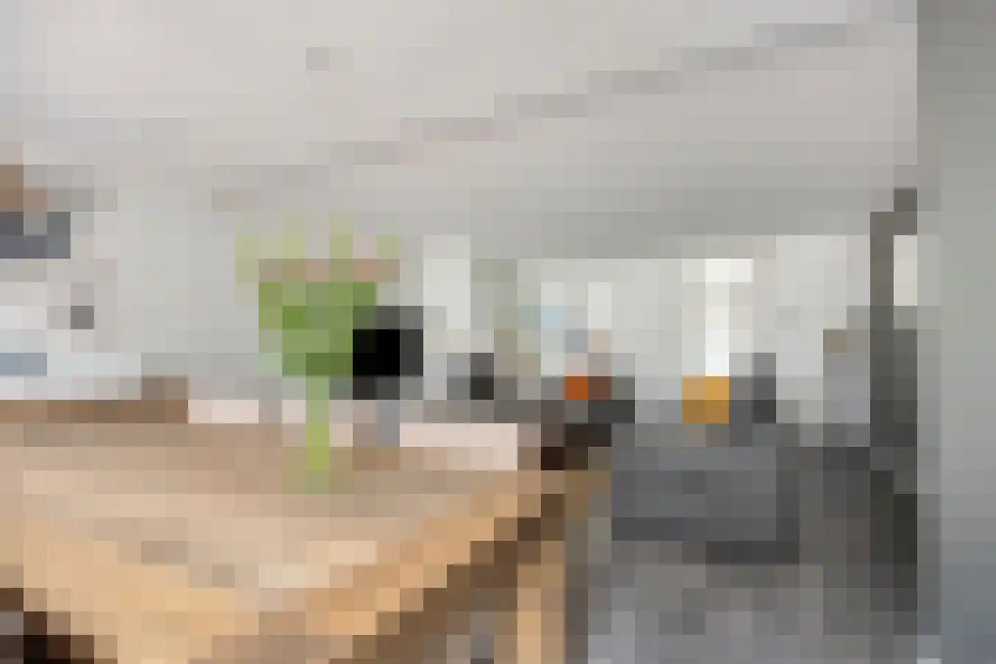 Kerckhoek 8 Zuidland thumbnail 7
