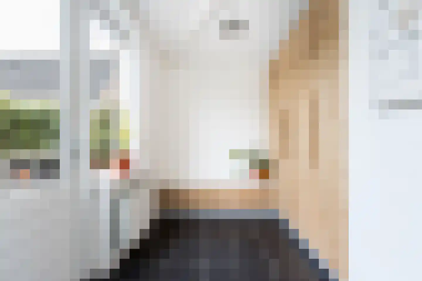 Kerckquartier 4 Kerkdriel thumbnail 18