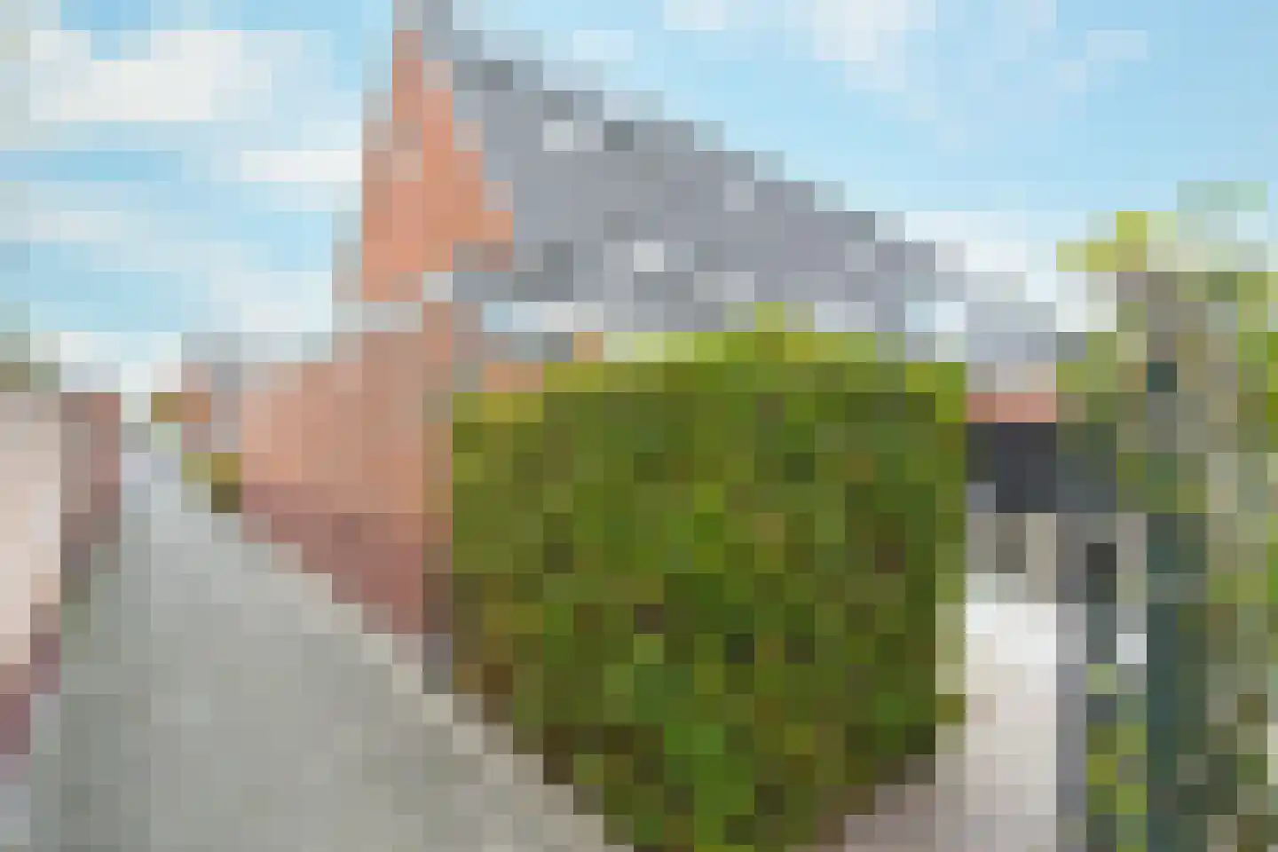 Kerckquartier 4 Kerkdriel thumbnail 51