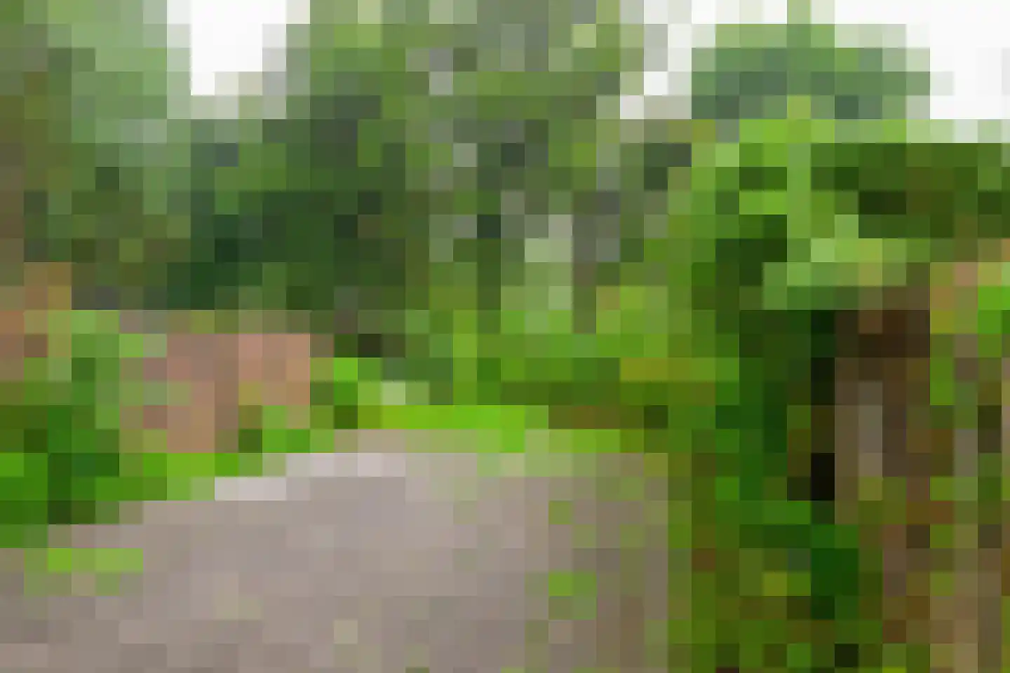 Kerckwervelaan 40 Oegstgeest thumbnail 21