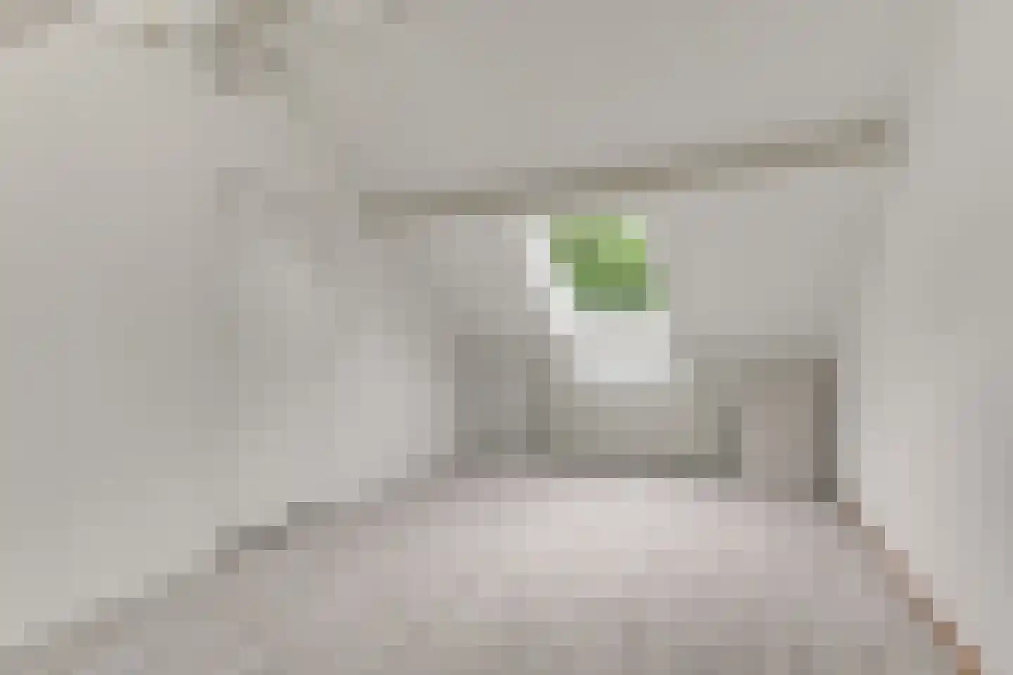 Kerckwervelaan 40 Oegstgeest thumbnail 36
