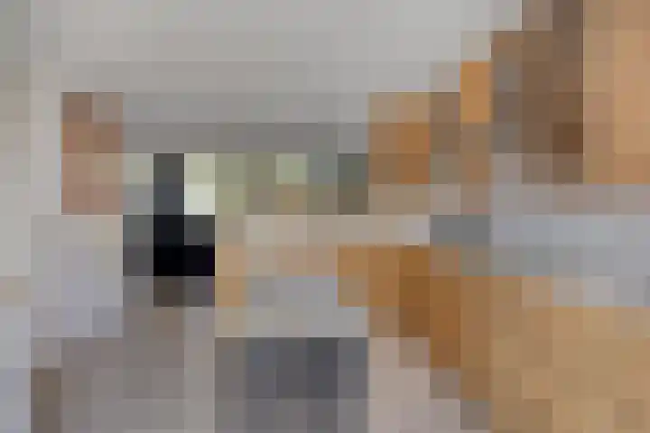 Kerckwervelaan 53 Oegstgeest thumbnail 10