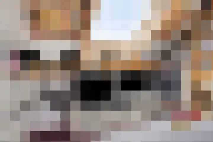 Kerckwervelaan 53 Oegstgeest thumbnail 23