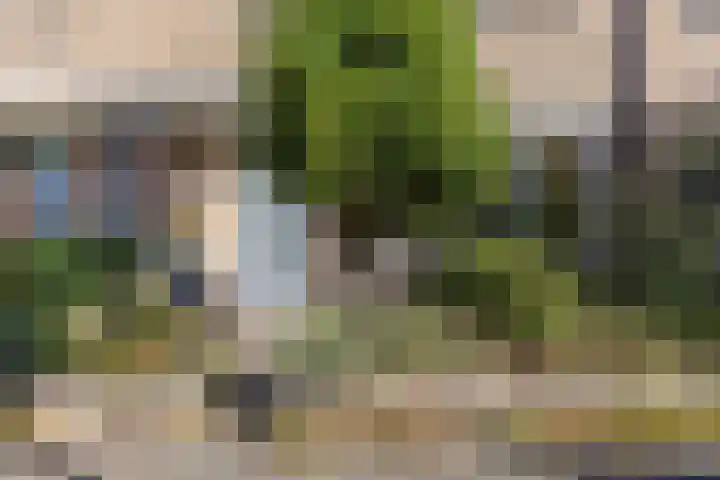 Kerckwervelaan 53 Oegstgeest thumbnail 7