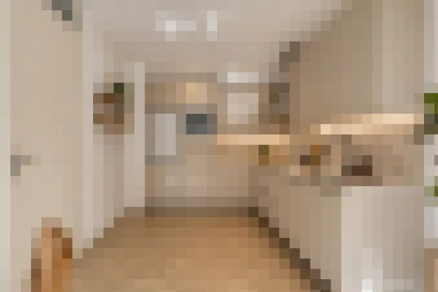 Kerdijkhof 15 Amsterdam thumbnail 10