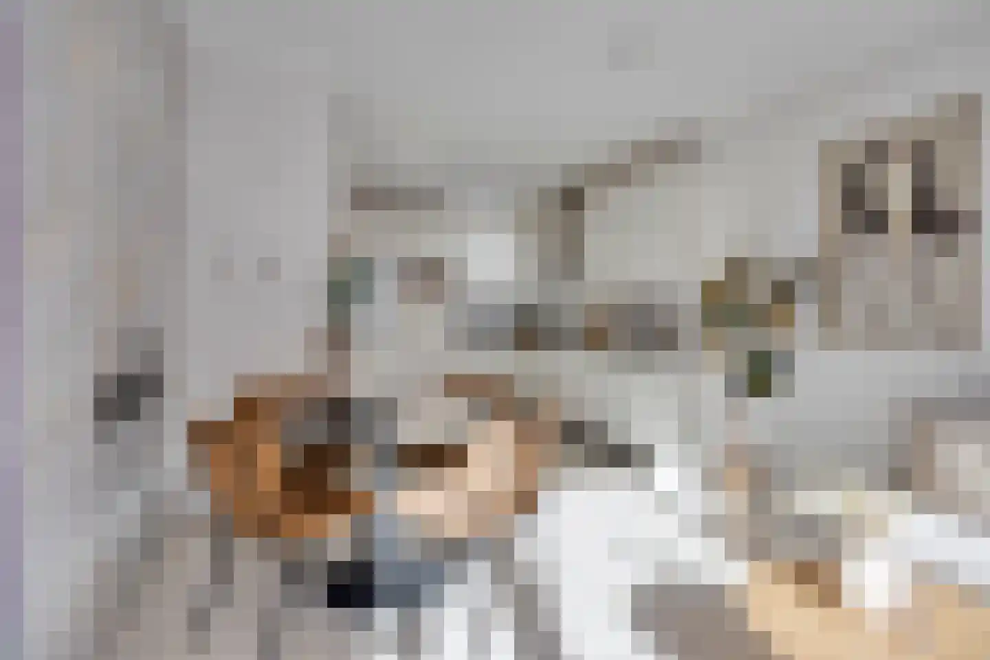 Kerdijkhof 15 Amsterdam thumbnail 6