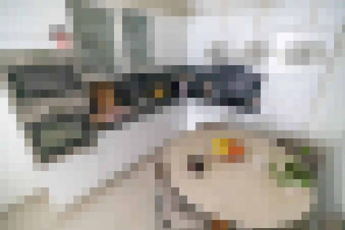 Kerdijkhof 17 Amsterdam thumbnail 10