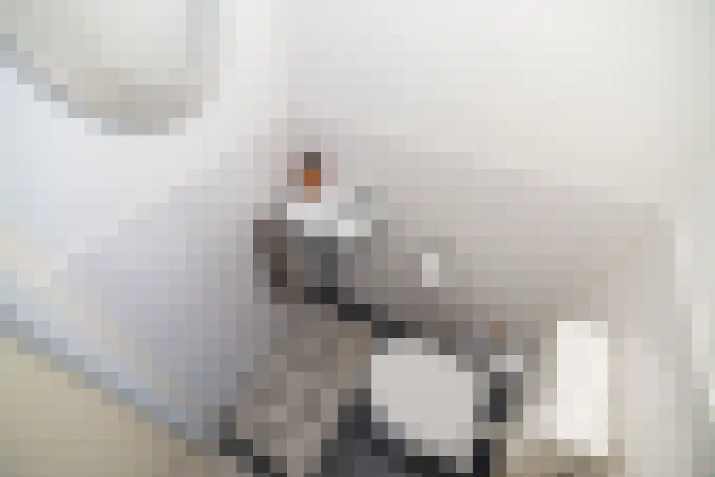 Kerdijkhof 17 Amsterdam thumbnail 11