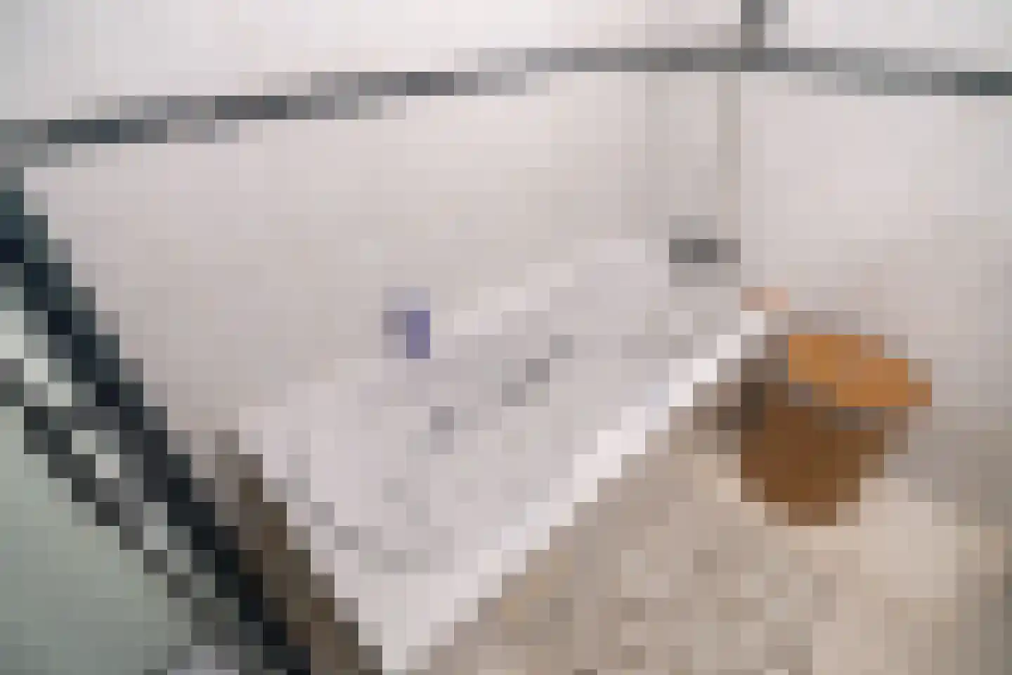 Kerdijkhof 17 Amsterdam thumbnail 17