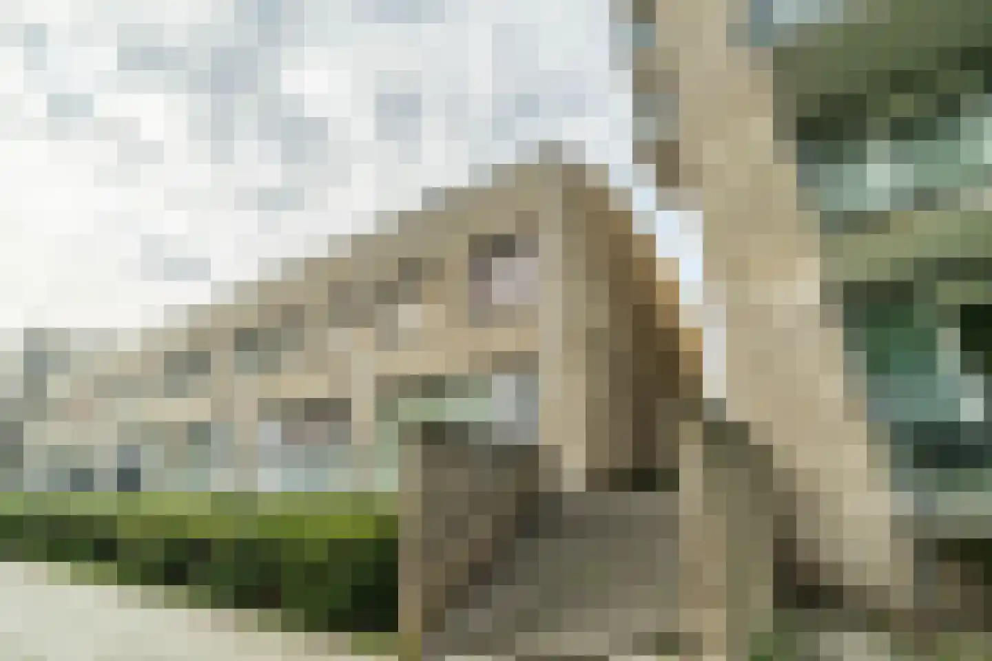 Kerdijkhof 17 Amsterdam thumbnail 31
