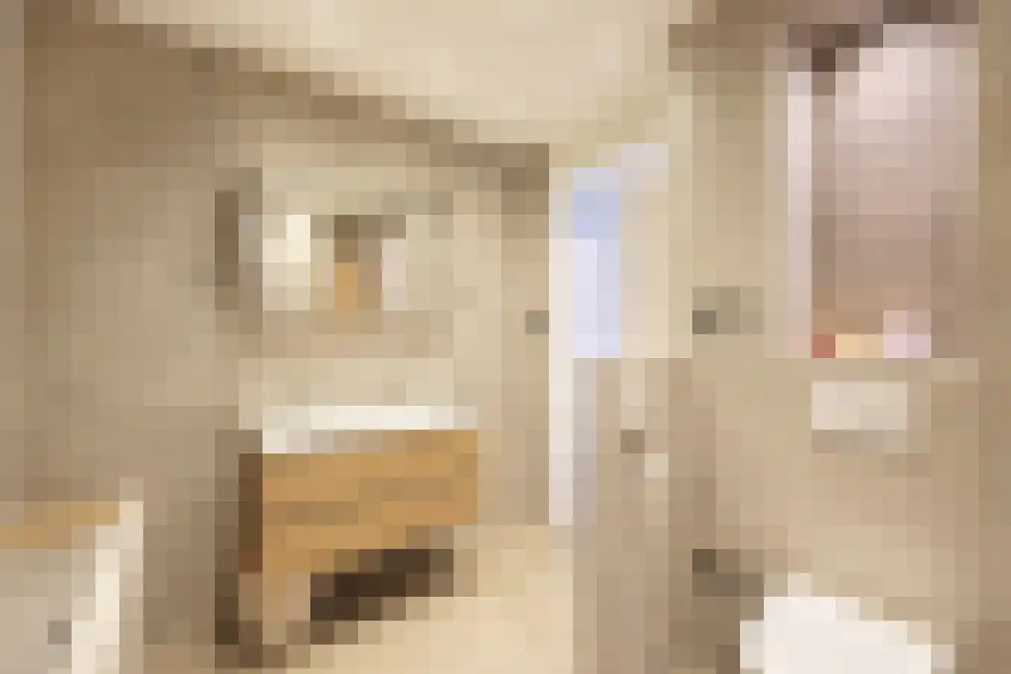 Kerdijkhof 7 Amsterdam thumbnail 16