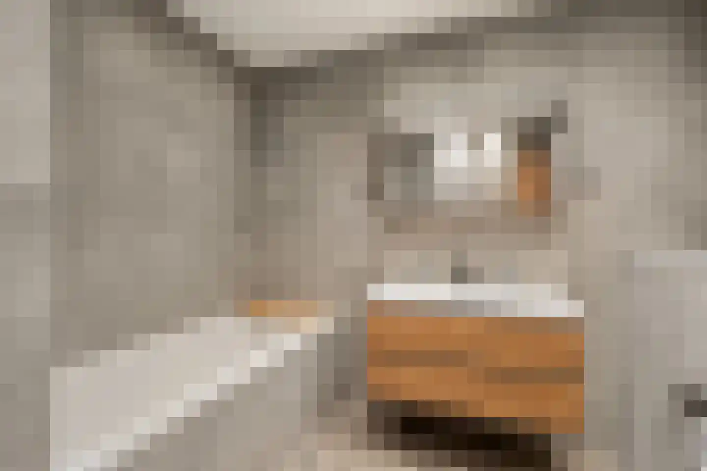 Kerdijkhof 7 Amsterdam thumbnail 23