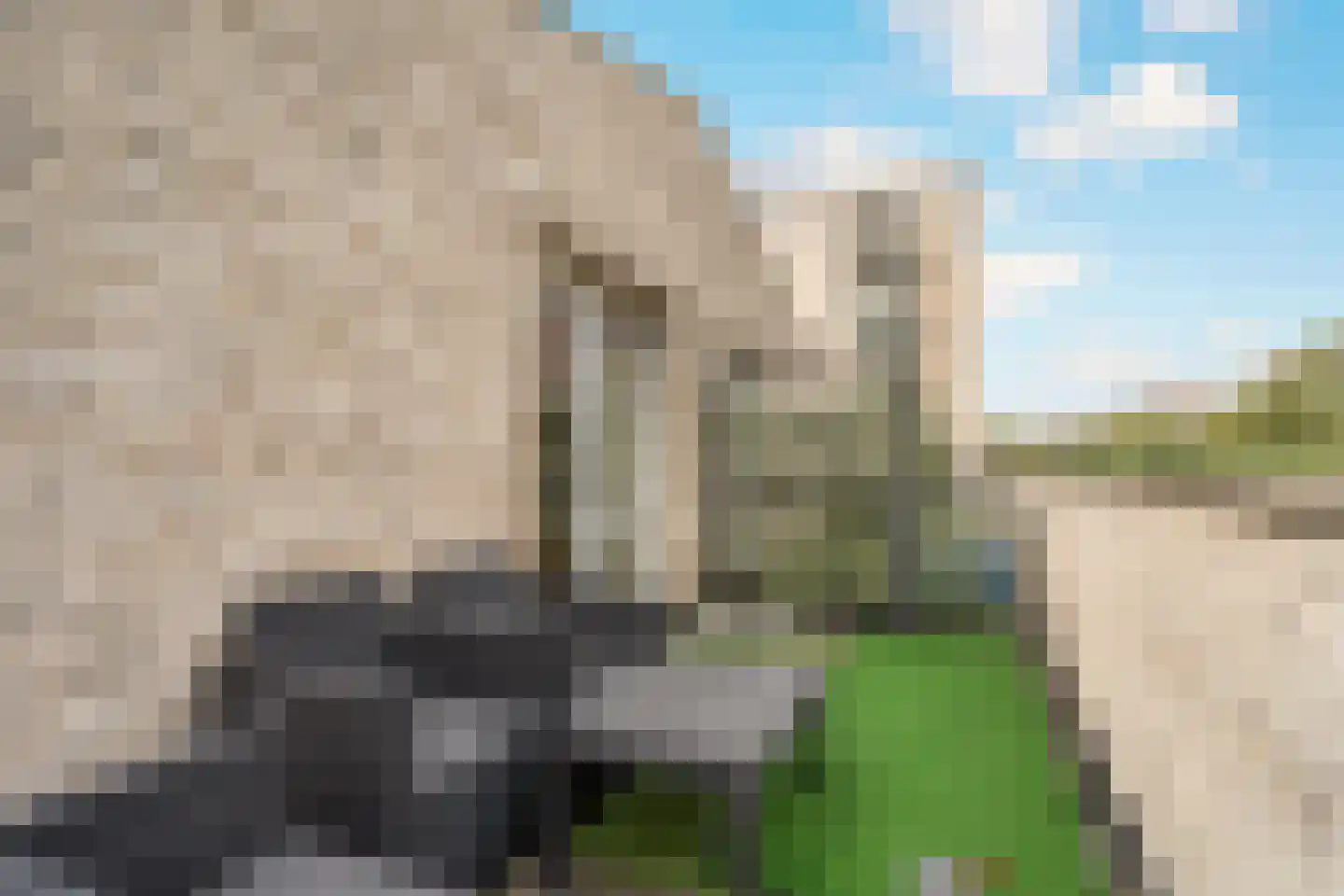 Kerdijkhof 7 Amsterdam thumbnail 29