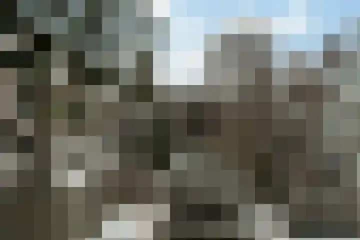 Kerdijkstraat 5 B Rotterdam thumbnail 11