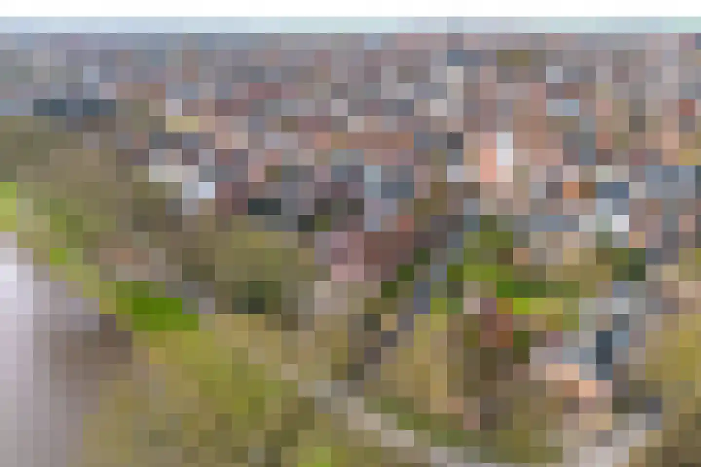 Kereweer 2 Dokkum thumbnail 4