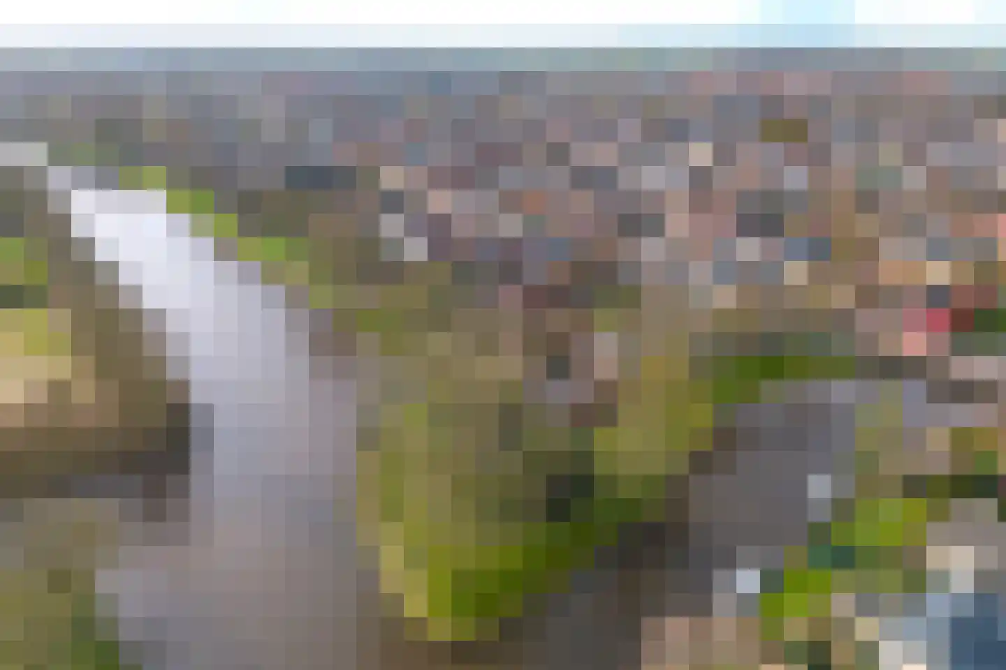 Kereweer 2 Dokkum thumbnail 5