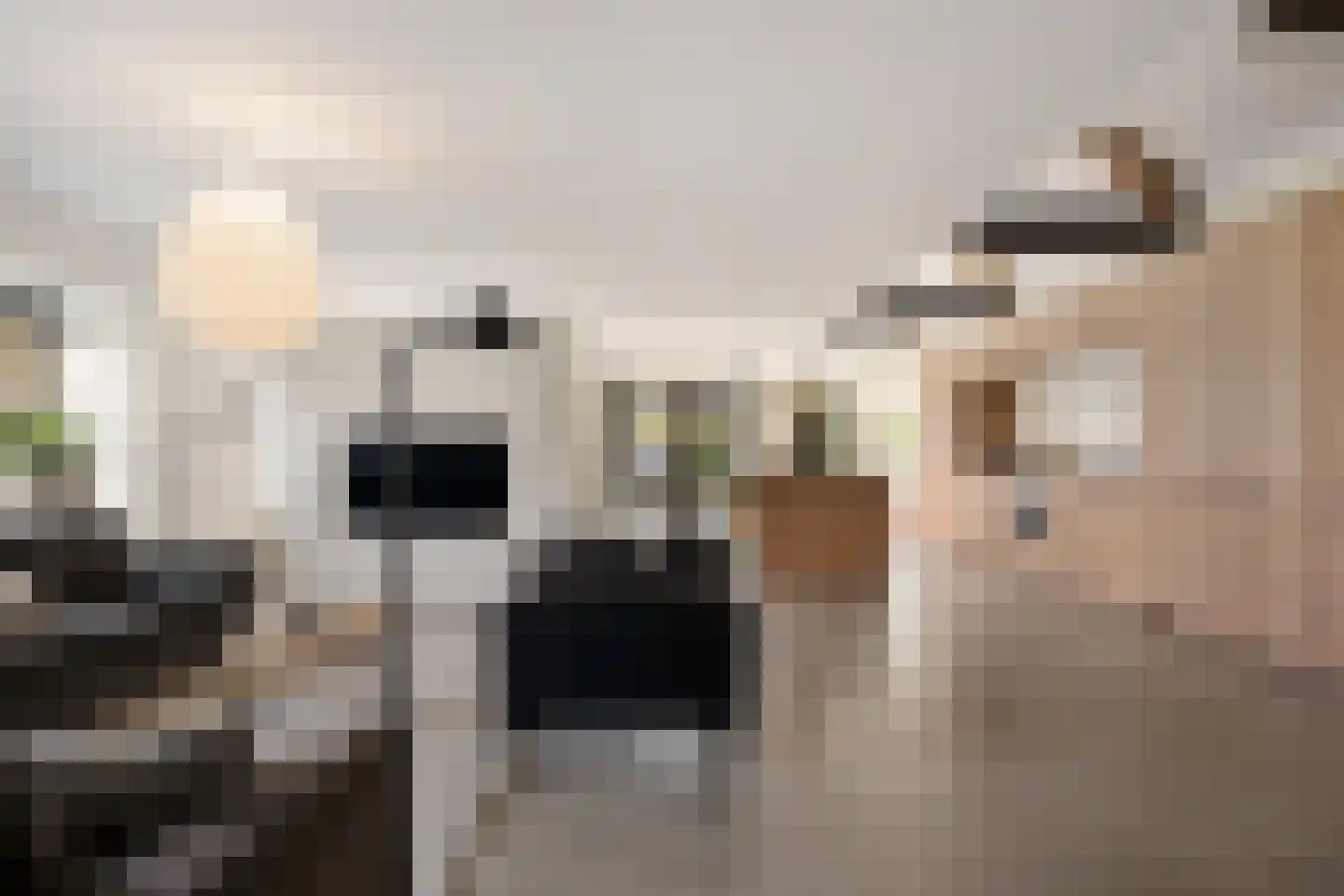 Kereweer 2 Dokkum thumbnail 8