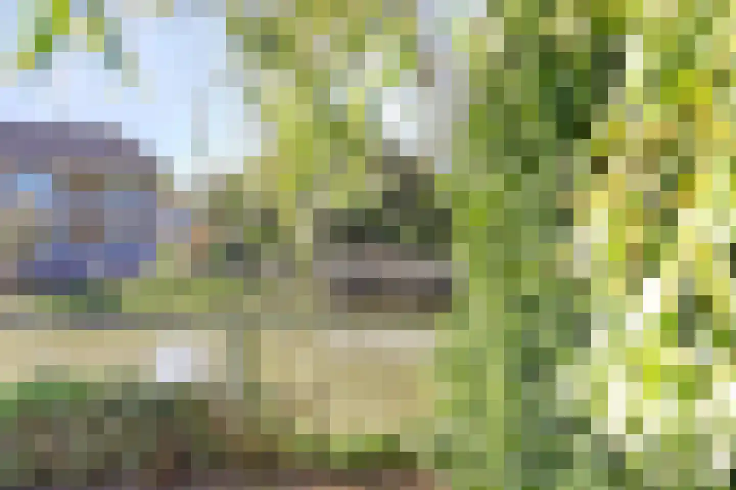 Kering 12 Kamperland thumbnail 30