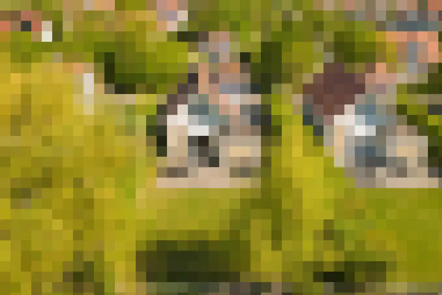 Kering 12 Kamperland thumbnail 35