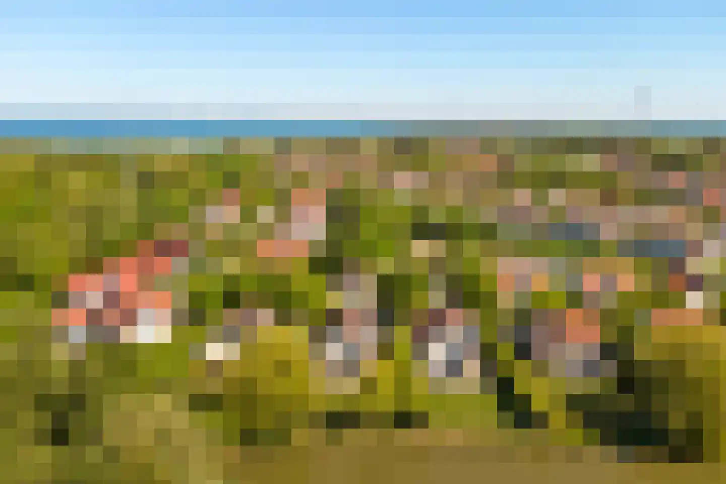 Kering 12 Kamperland thumbnail 39