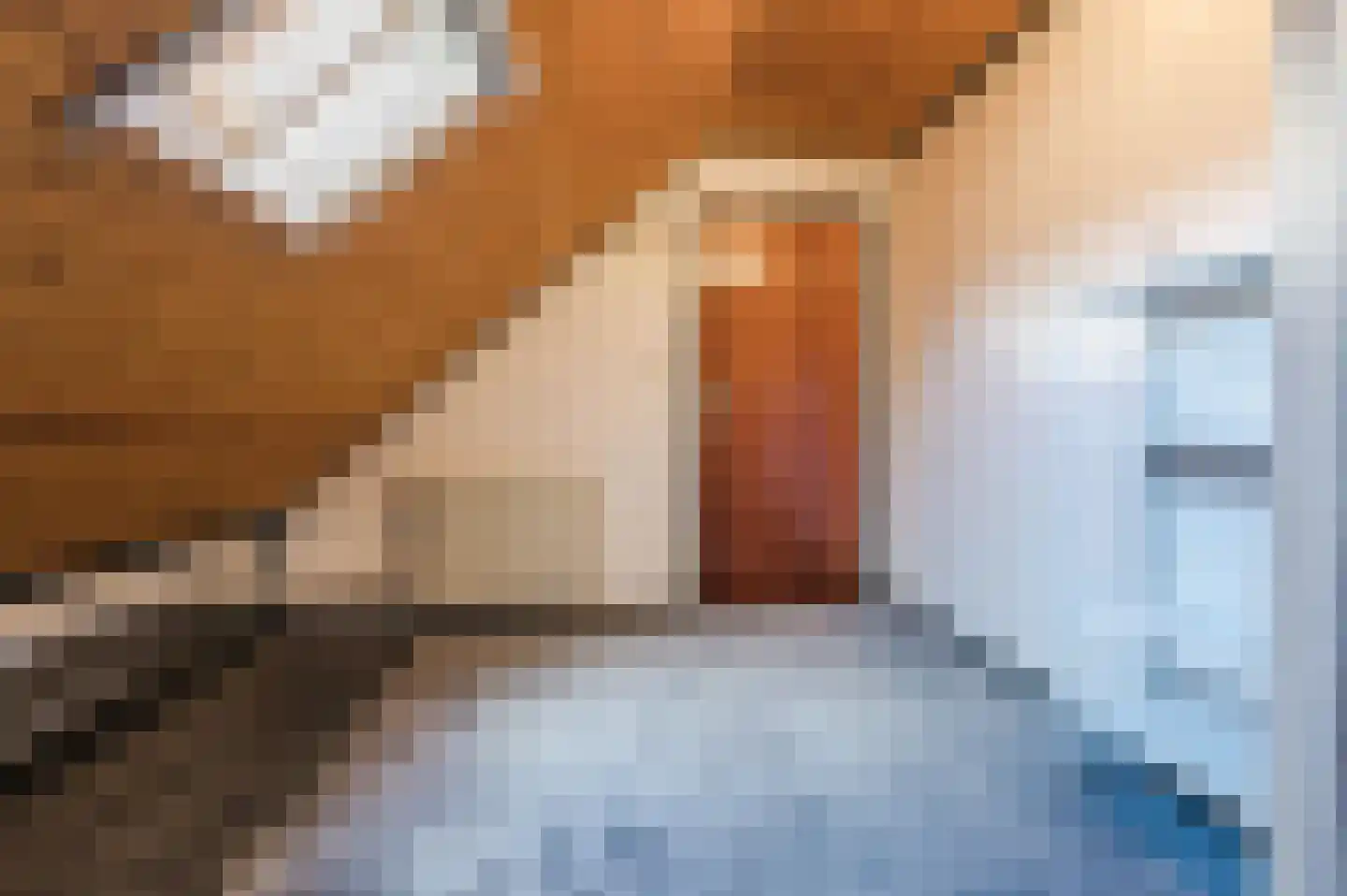 Kerisakkerstraat 18 Erp thumbnail 31