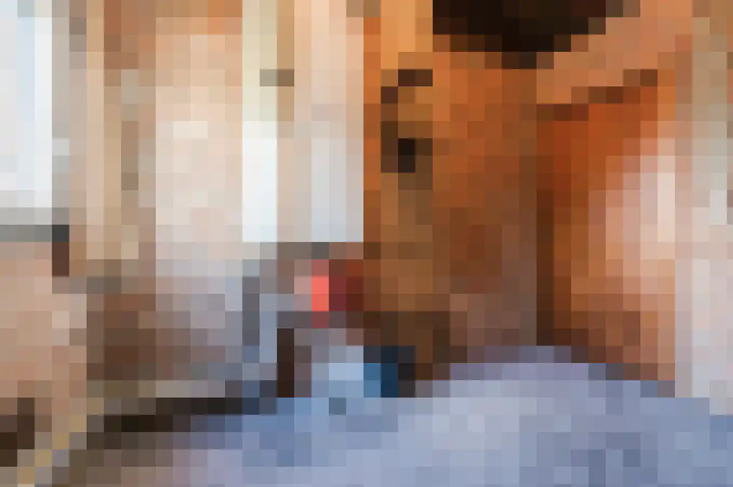 Kerisakkerstraat 18 Erp thumbnail 33
