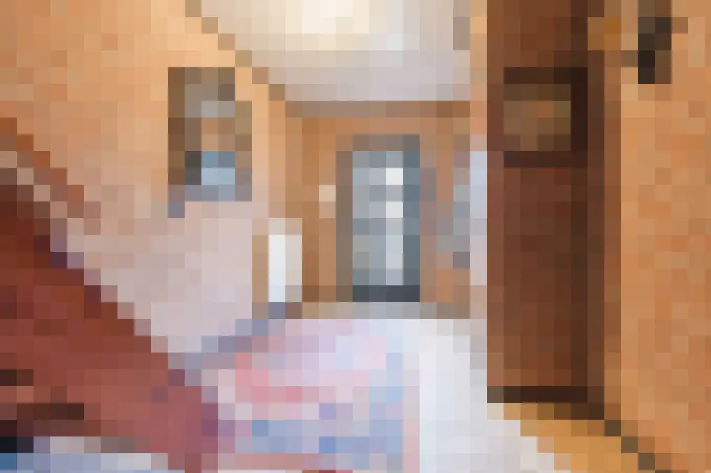 Kerisakkerstraat 18 Erp thumbnail 8