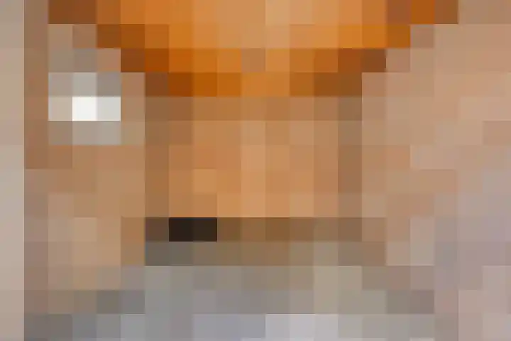 Kerkakkers 1 Alphen thumbnail 39