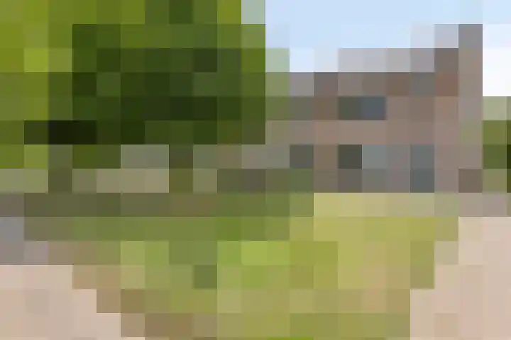 Kerkakkers 1 Alphen thumbnail 43