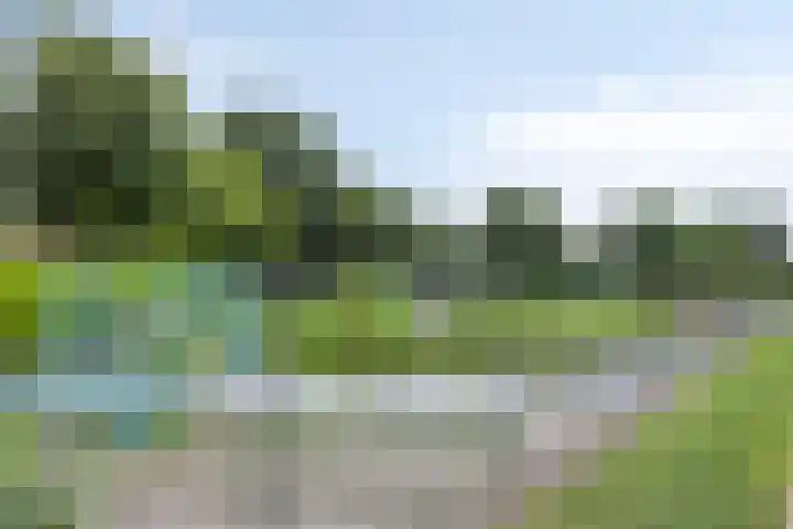 Kerkakkers 1 Alphen thumbnail 46