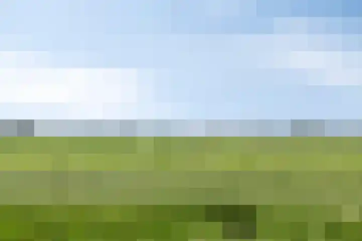Kerkakkers 1 Alphen thumbnail 47